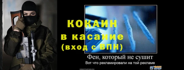 сатива Каменск-Шахтинский