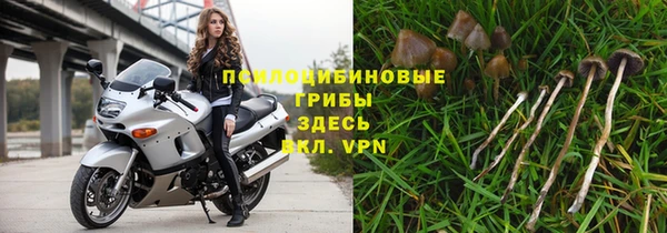 сатива Каменск-Шахтинский