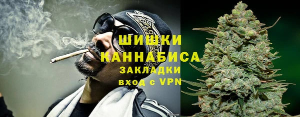 гидропоника Каменка