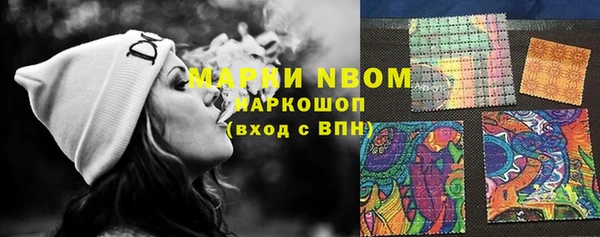 гидропоника Каменка