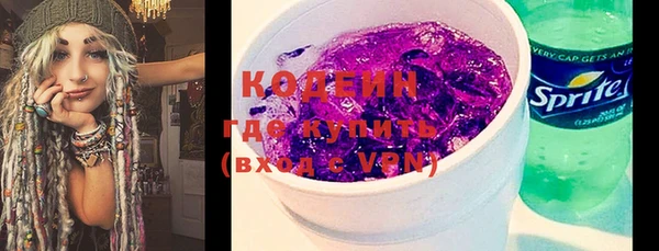 сатива Каменск-Шахтинский