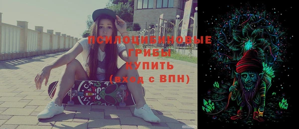 сатива Каменск-Шахтинский